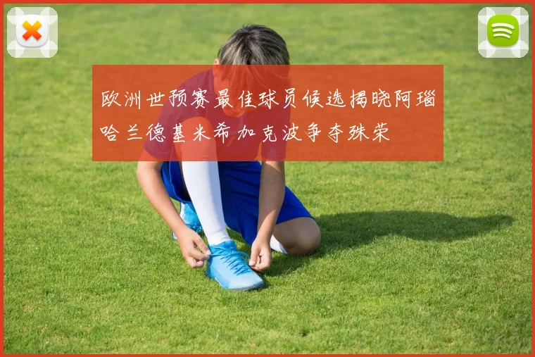 欧洲世预赛最佳球员候选揭晓阿瑙哈兰德基米希加克波争夺殊荣