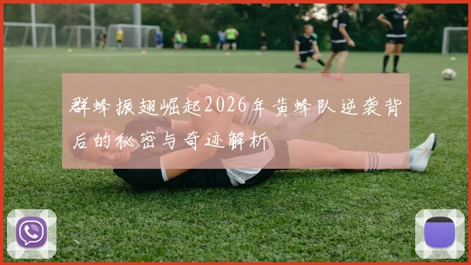 群蜂振翅崛起2026年黄蜂队逆袭背后的秘密与奇迹解析