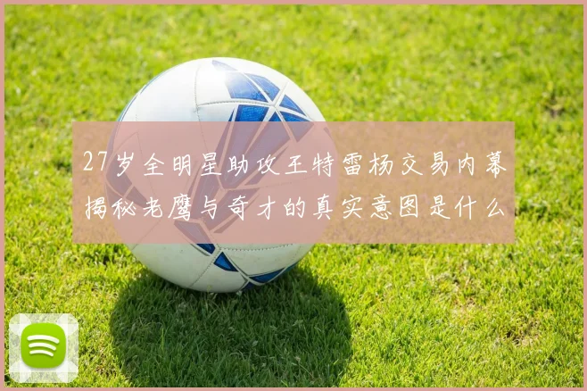 27岁全明星助攻王特雷杨交易内幕揭秘老鹰与奇才的真实意图是什么
