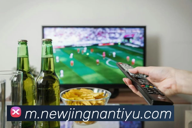 App Interface Preview