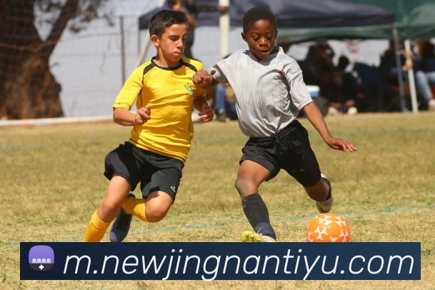 江南体育APP 封面图